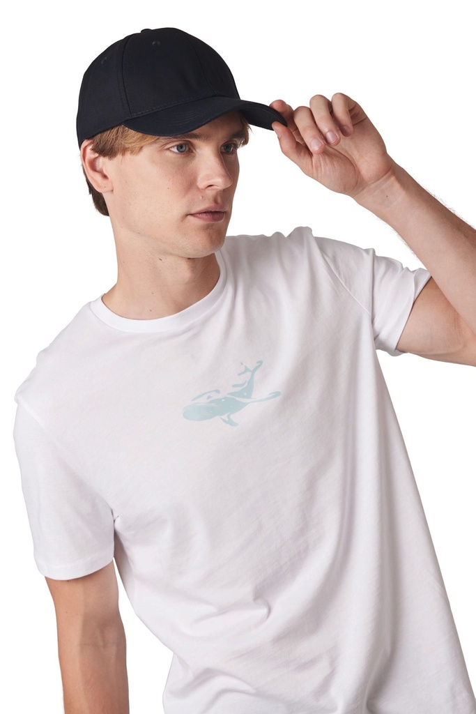 https://cdn.toptex.com/pictures/KP915-2_2025.jpg