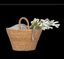 https://cdn.toptex.com/packshots/PS_KI5208-B_SEAGRASS.png