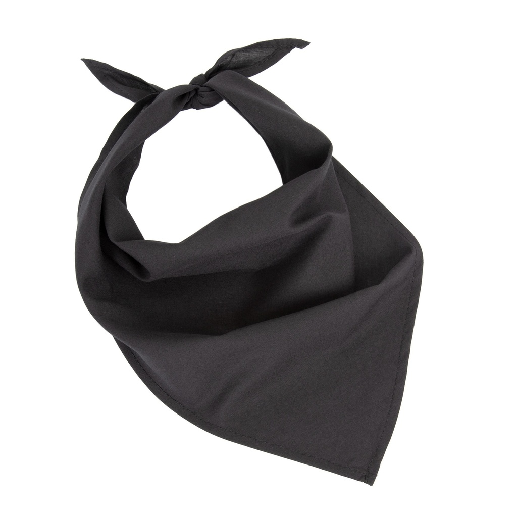 Fiesta - Bandana