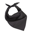 Fiesta - Bandana