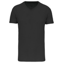 T-shirt Bio150 IC col V homme
