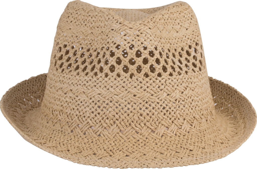 Chapeau style Panama
