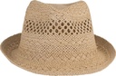 Chapeau style Panama