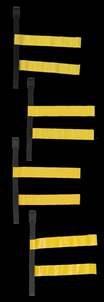 Tag belt