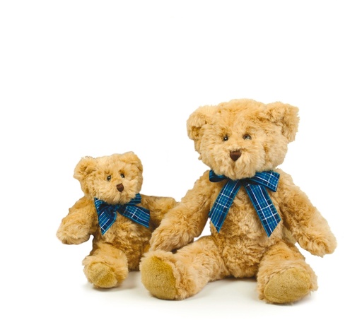 [MM001] Peluche ours Bracken
