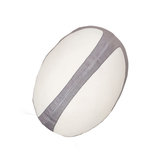 [MM584_92829_92828] Ballon de rugby zippé