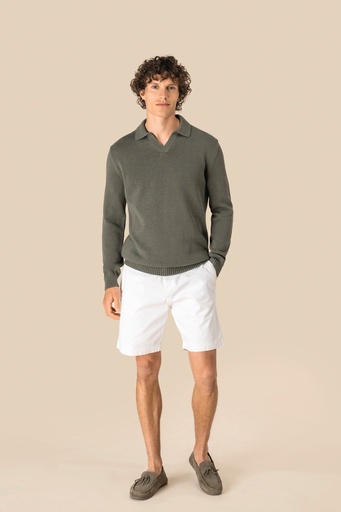 [SP901] Pull homme à col polo