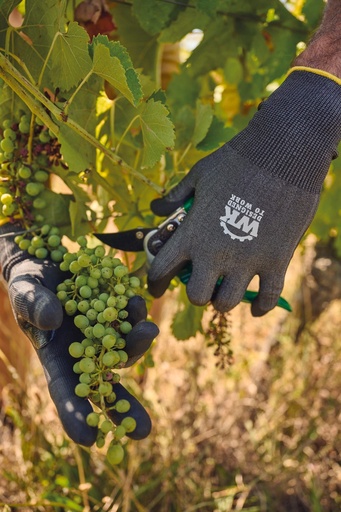 [WKP709] Gants tactiles de protection contre les coupures
