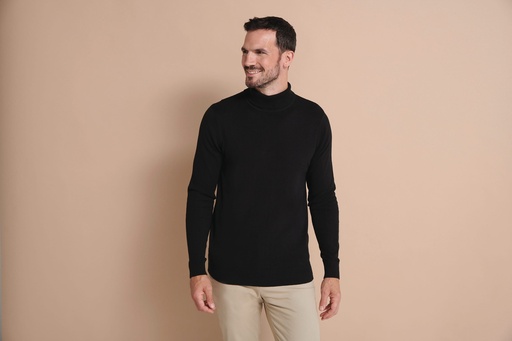 [H727] Pull col roulé